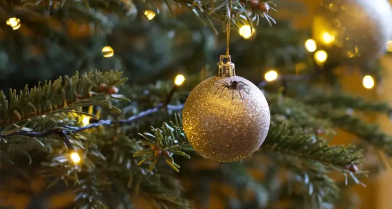 Weihnachtsbaum-Schädlinge – Wie Sie ungebetene Gäste vermeiden